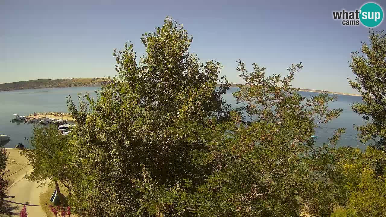 Camping Odmoree web kamera Ražanac – Dalmacija