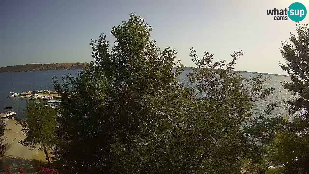 Camping Odmoree camera en vivo Ražanac – Dalmacia