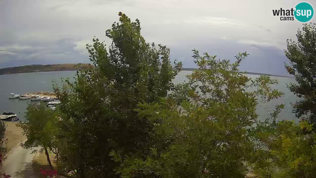 Camping Odmoree web kamera Ražanac – Dalmacija