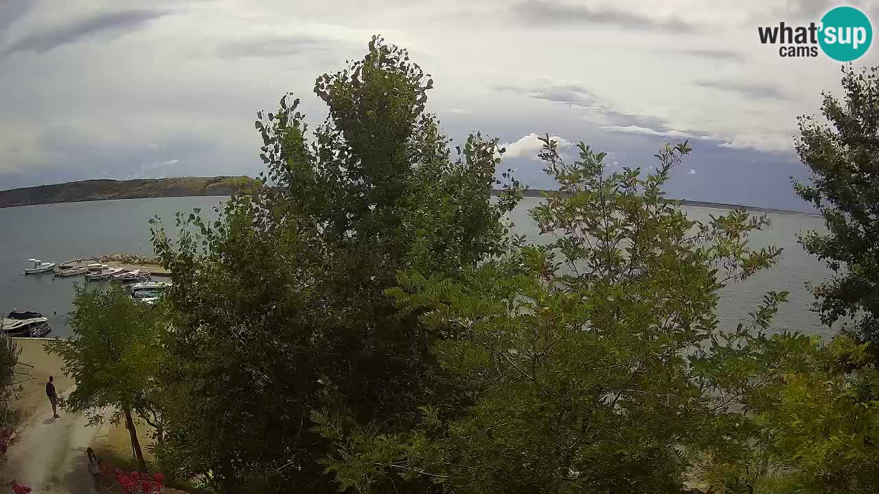 Camping Odmoree webcam Ražanac – Dalmazia