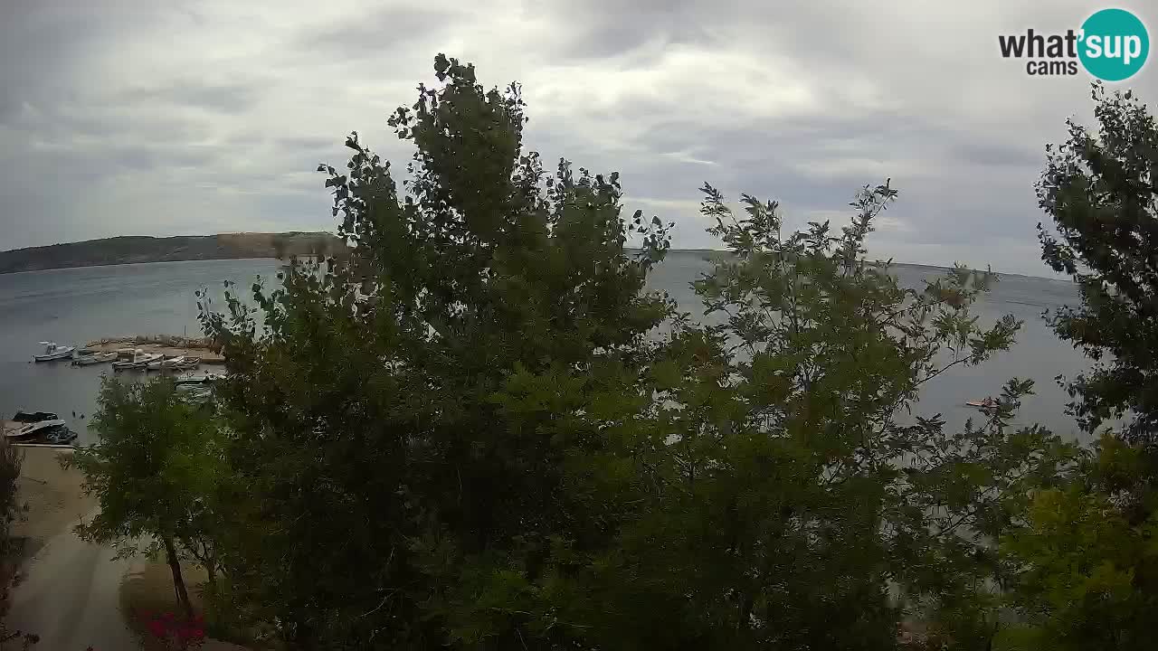 Kamp Odmoree spletna kamera Ražanac – Dalmacija