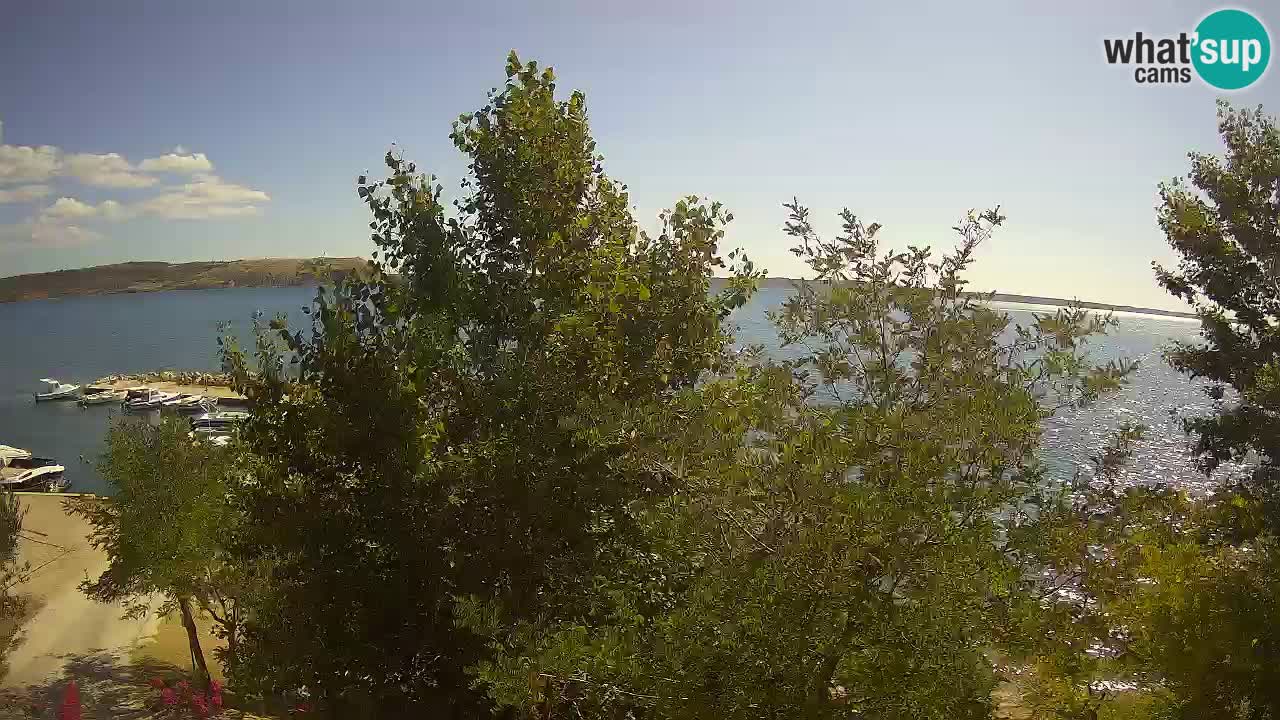 Camping Odmoree webcam Ražanac – Dalmatia