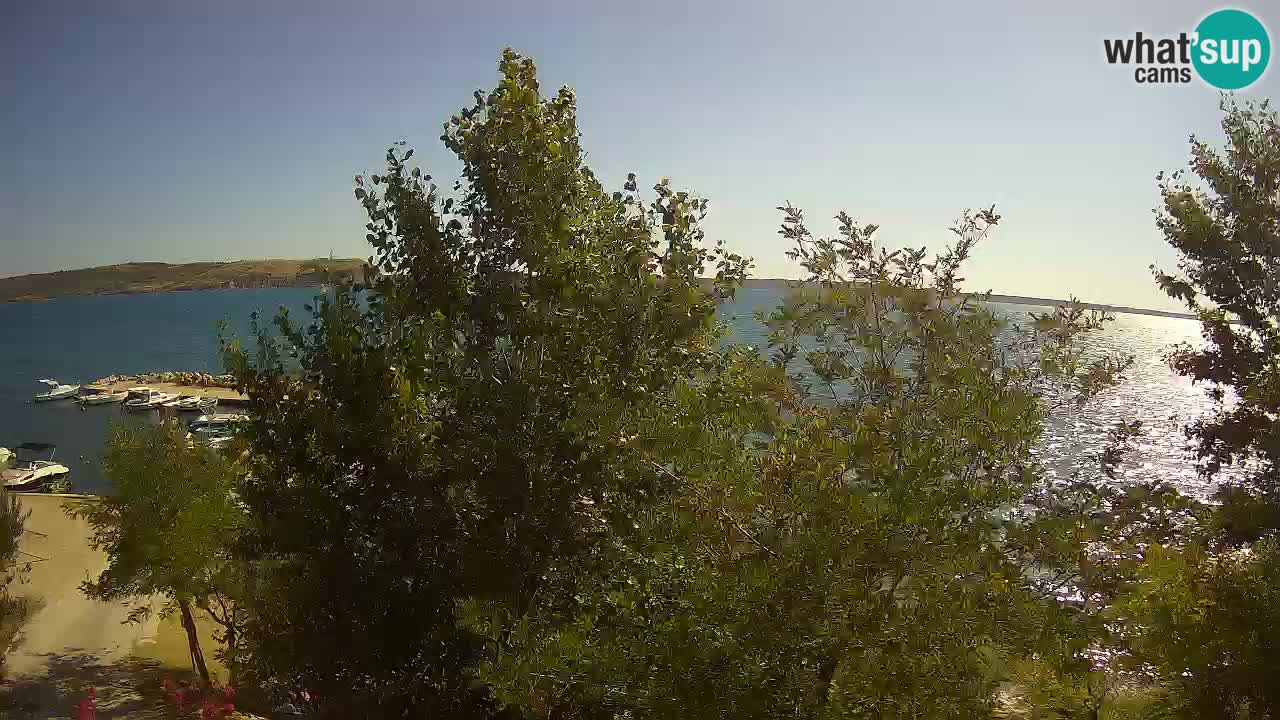 Camping Odmoree webcam Ražanac – Dalmatia