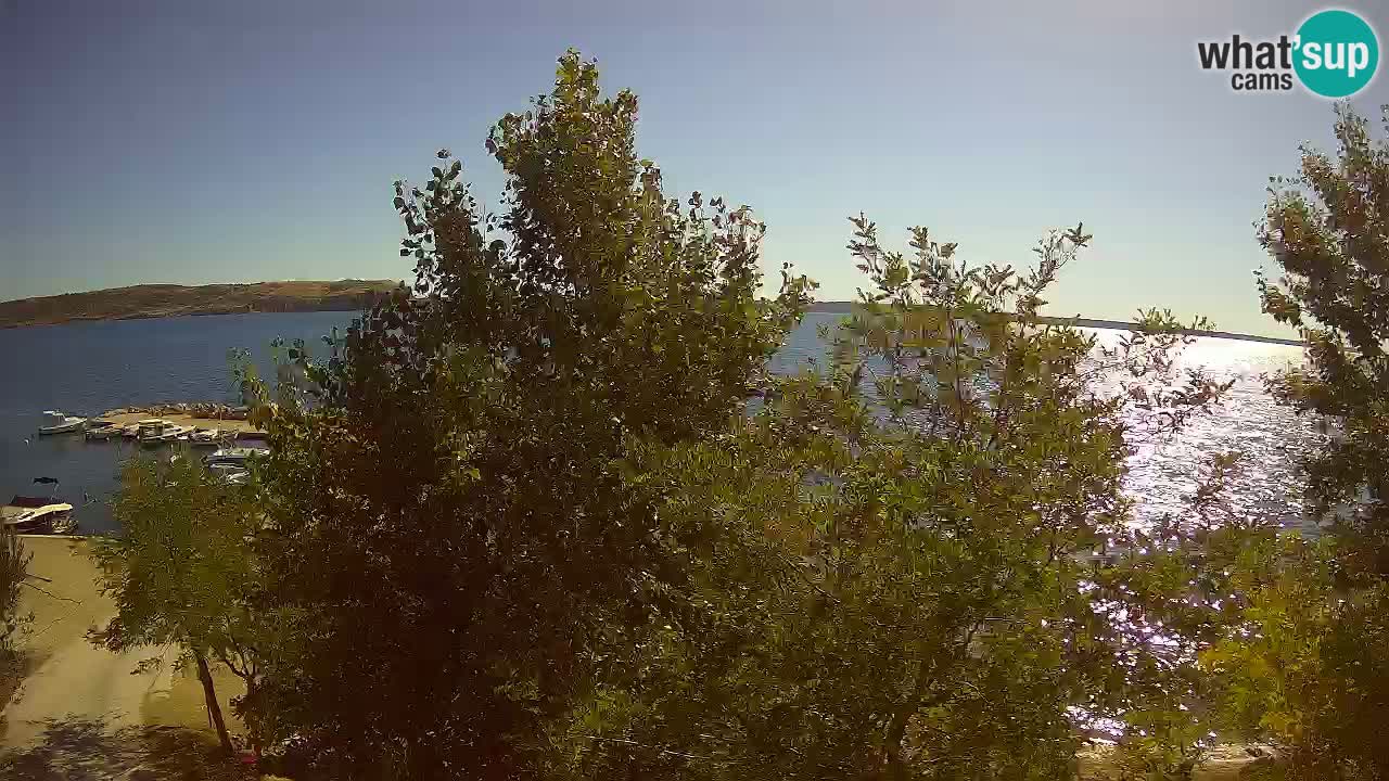 Camping Odmoree live cam Ražanac – Dalmatie
