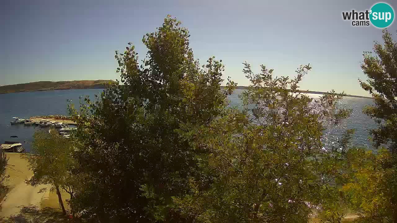 Camping Odmoree web kamera Ražanac – Dalmacija
