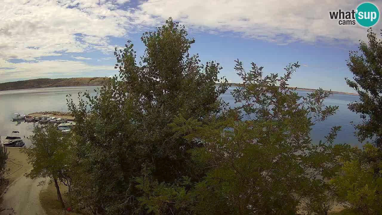 Kamp Odmoree spletna kamera Ražanac – Dalmacija
