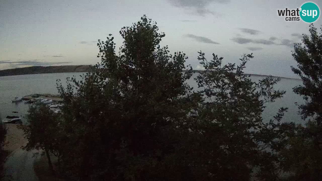 Kamp Odmoree spletna kamera Ražanac – Dalmacija