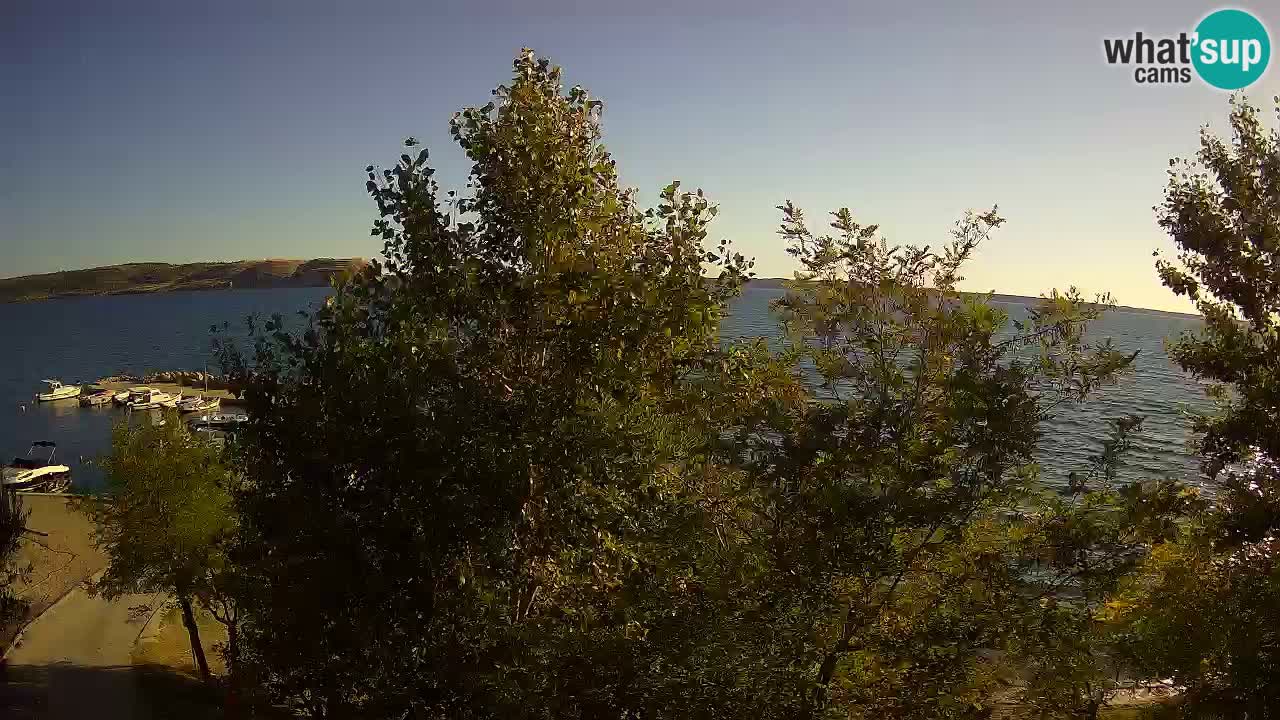 Camping Odmoree live cam Ražanac – Dalmatie