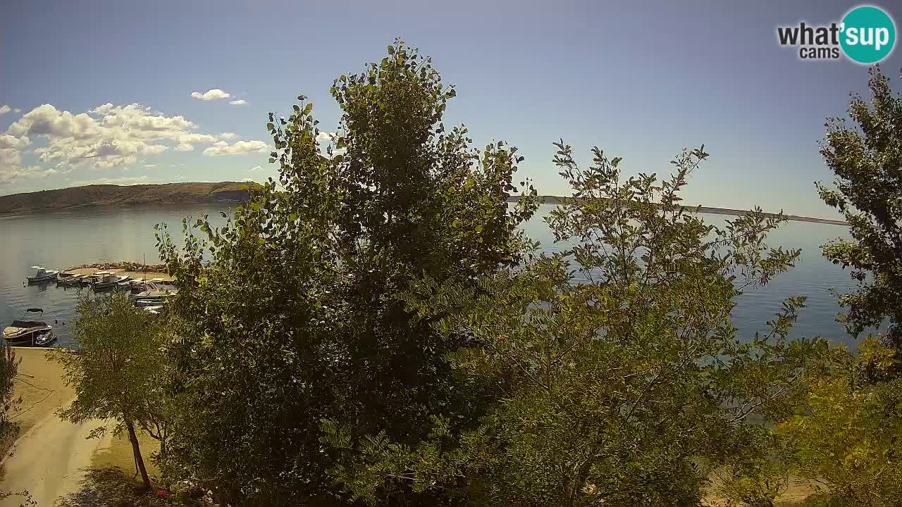 Camping Odmoree webcam Ražanac – Dalmatia