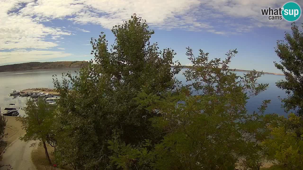 Camping Odmoree web kamera Ražanac – Dalmacija