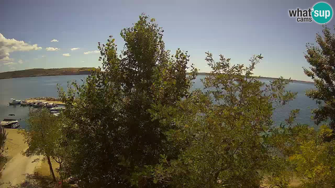 Camping Odmoree web kamera Ražanac – Dalmacija