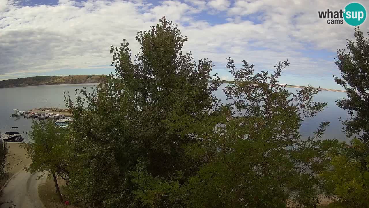 Camping Odmoree camera en vivo Ražanac – Dalmacia