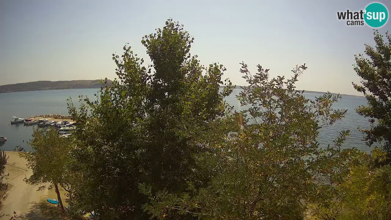 Kamp Odmoree spletna kamera Ražanac – Dalmacija