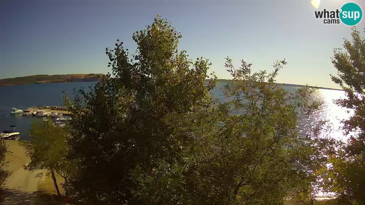 Camping Odmoree web kamera Ražanac – Dalmacija