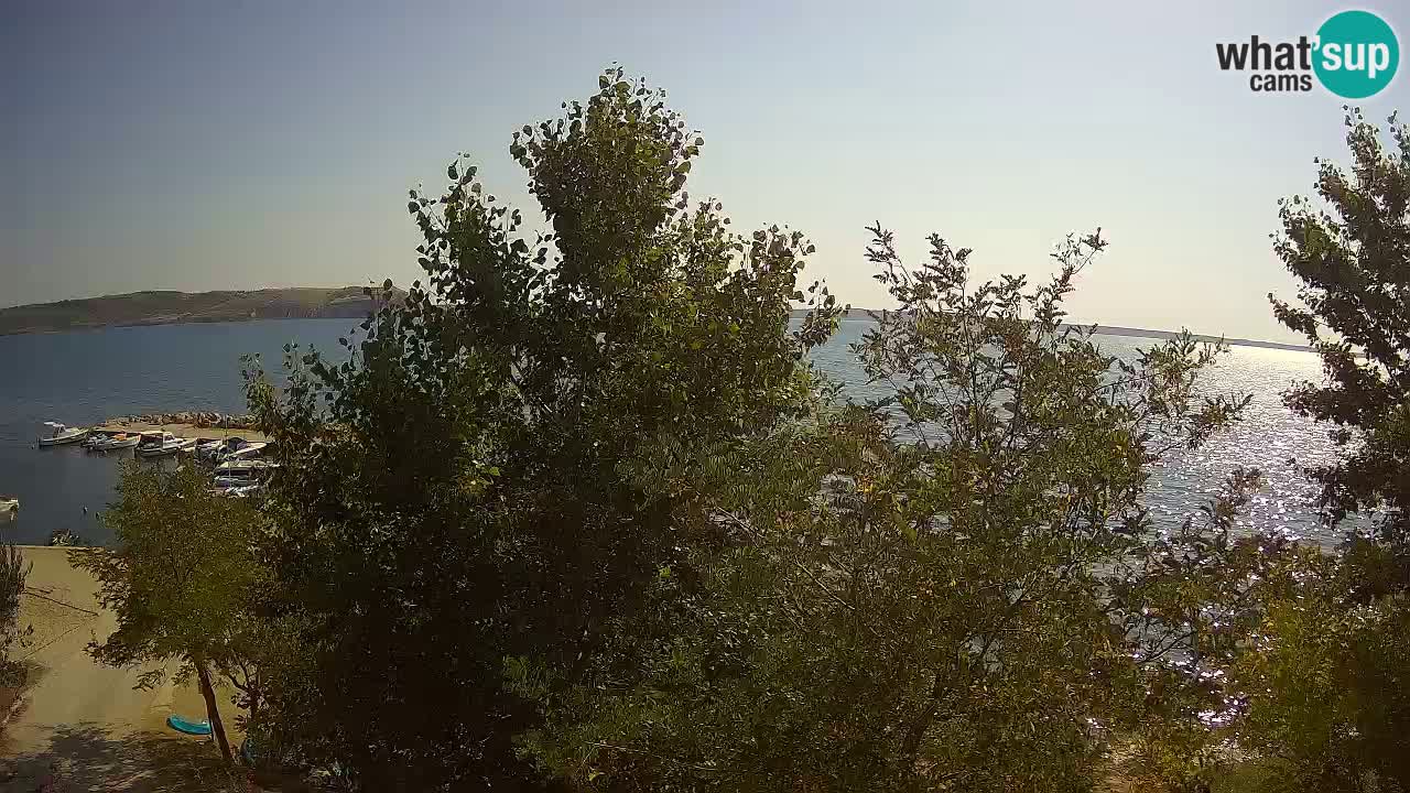 Kamp Odmoree spletna kamera Ražanac – Dalmacija