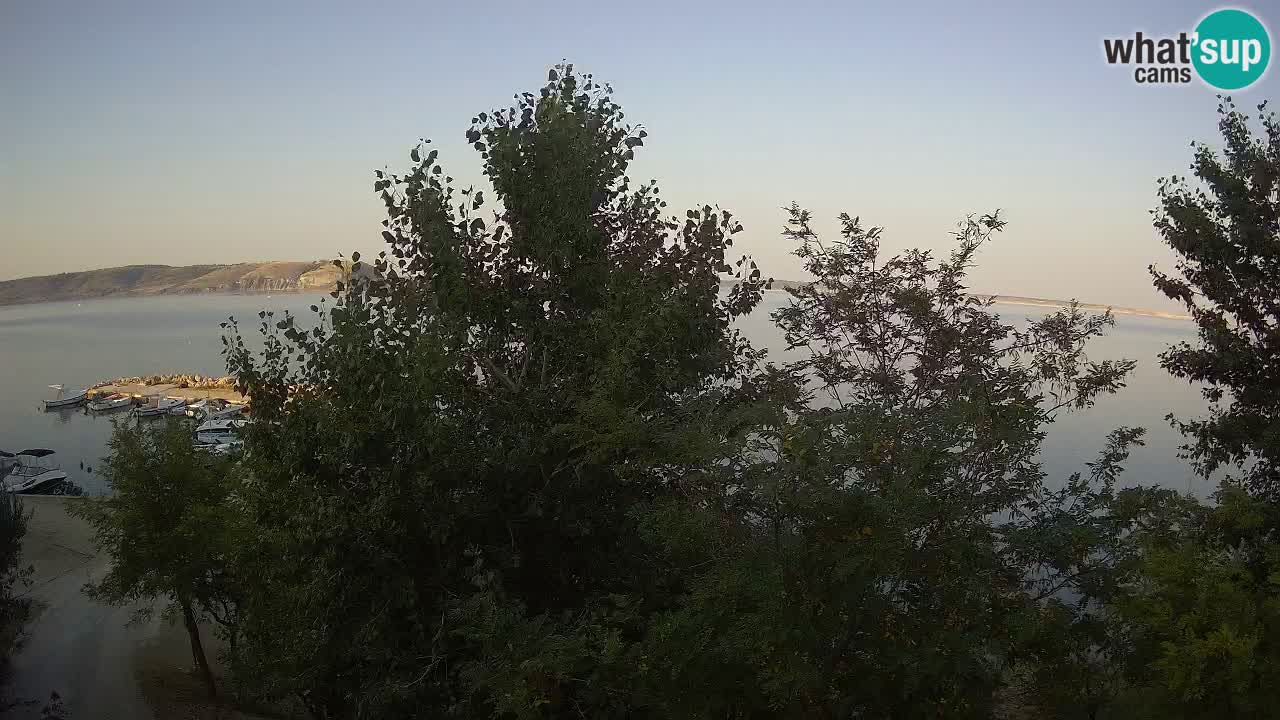 Camping Odmoree camera en vivo Ražanac – Dalmacia