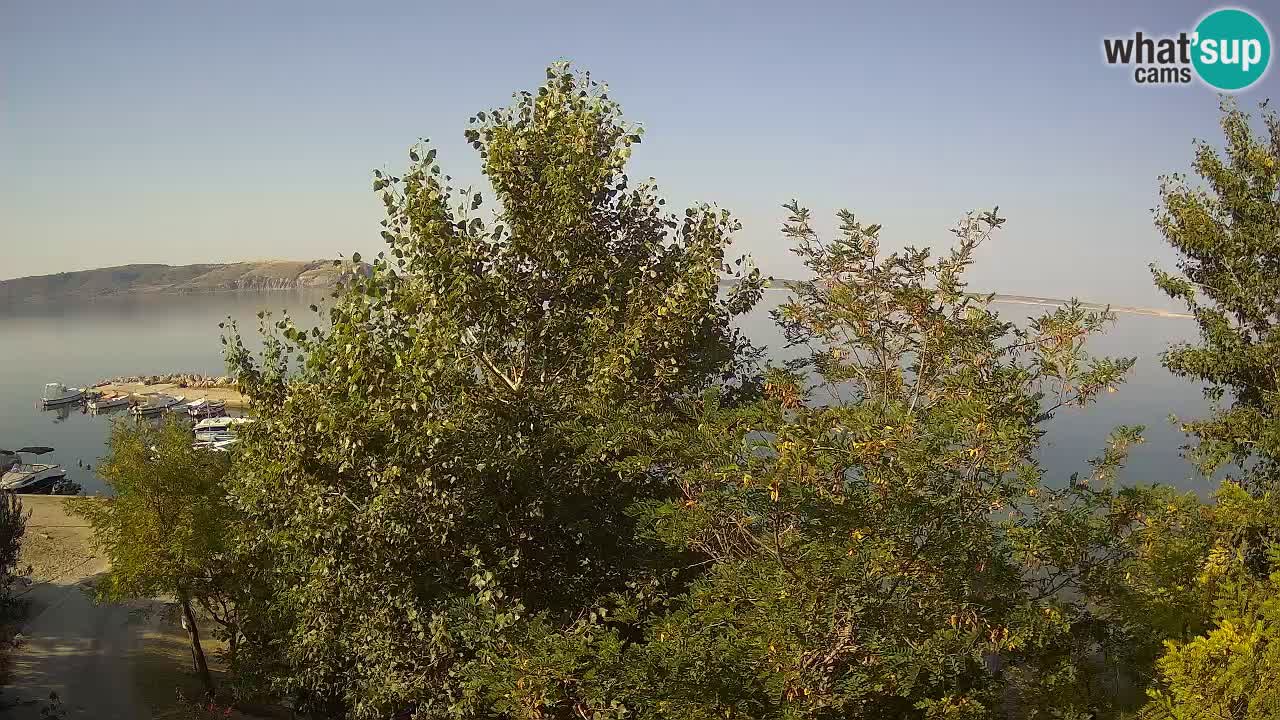 Camping Odmoree camera en vivo Ražanac – Dalmacia