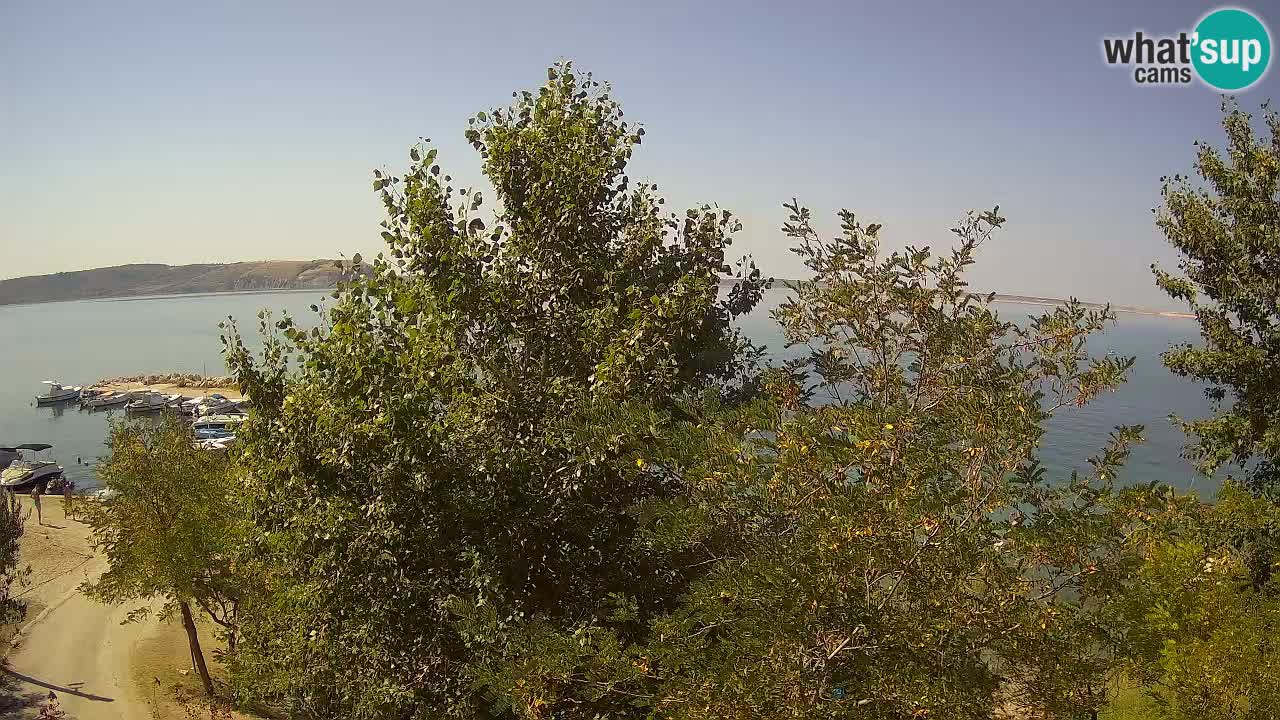 Camping Odmoree live cam Ražanac – Dalmatie