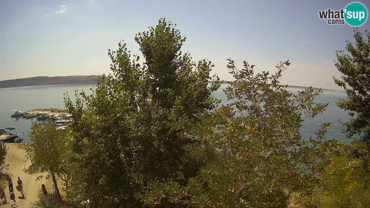 Camping Odmoree live cam Ražanac – Dalmatie