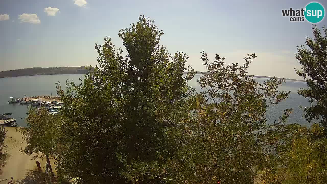 Kamp Odmoree spletna kamera Ražanac – Dalmacija