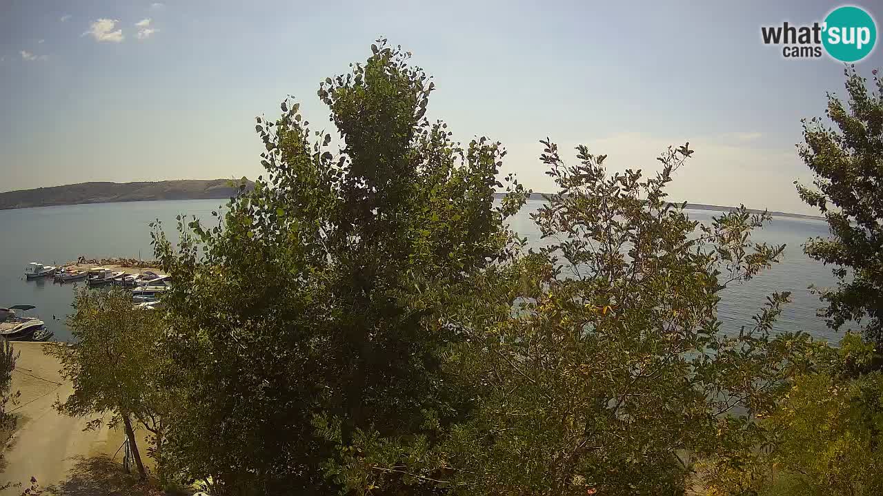 Camping Odmoree live cam Ražanac – Dalmatie