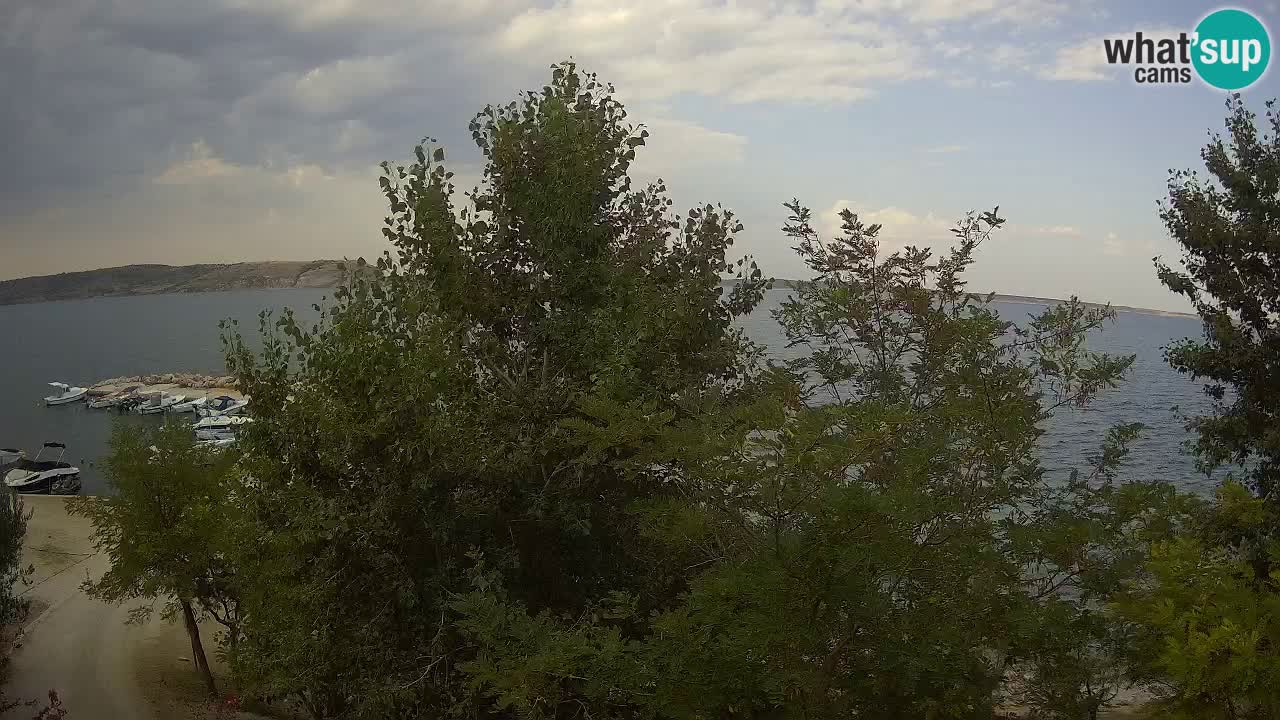 Camping Odmoree camera en vivo Ražanac – Dalmacia