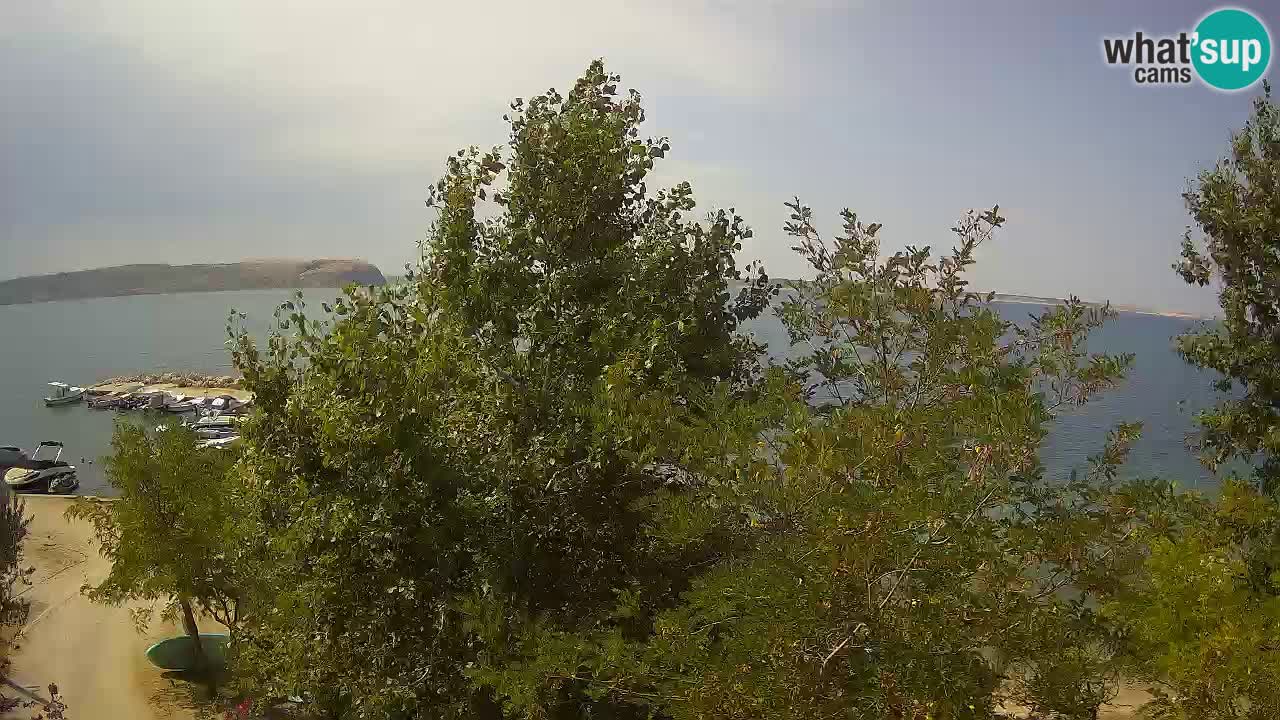 Camping Odmoree camera en vivo Ražanac – Dalmacia