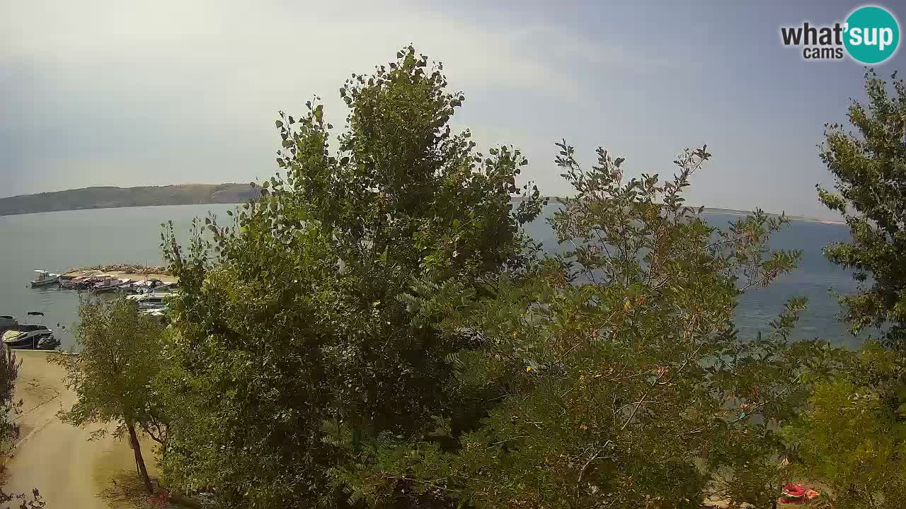 Camping Odmoree webcam Ražanac – Dalmatia