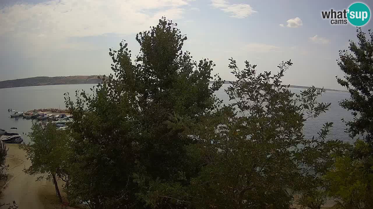 Camping Odmoree webcam Ražanac – Dalmazia