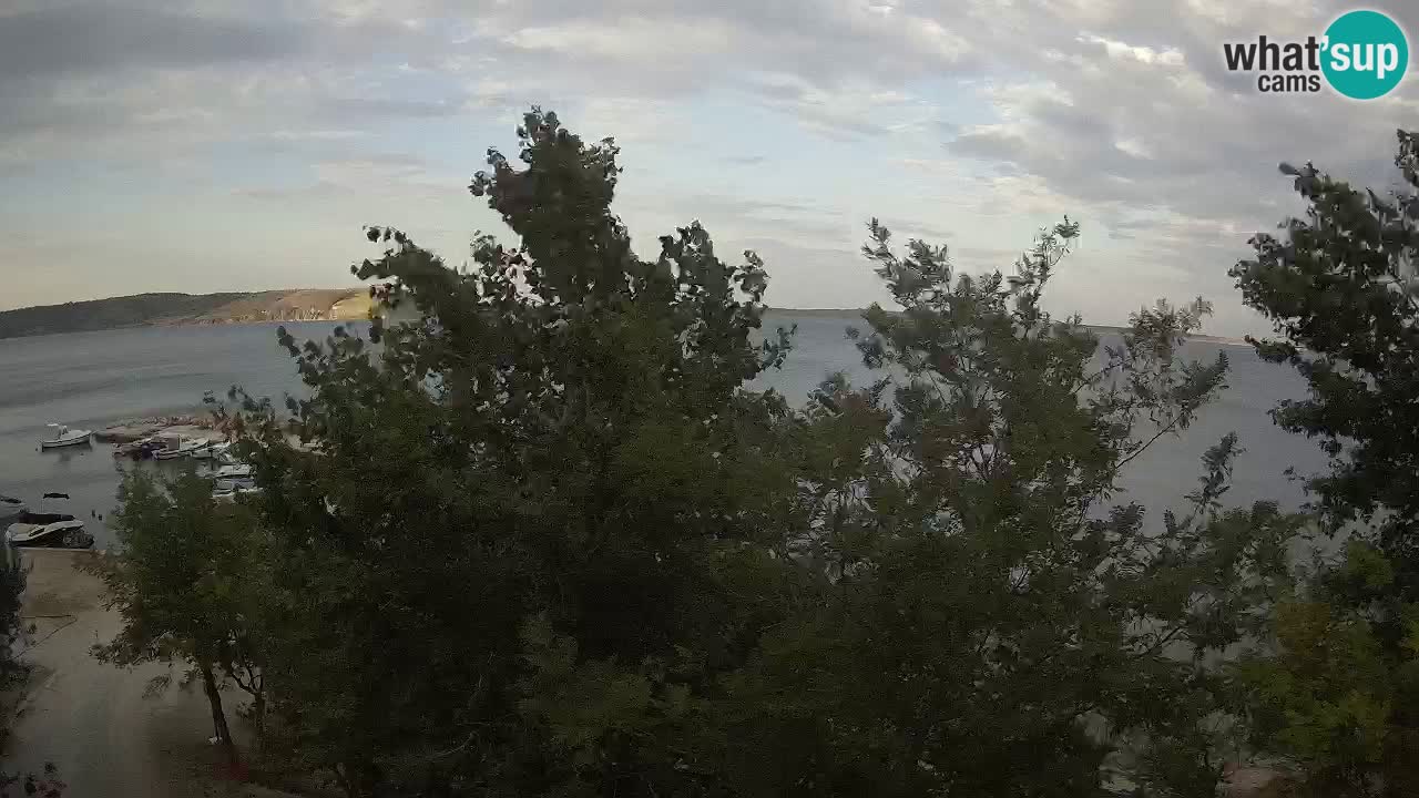 Camping Odmoree camera en vivo Ražanac – Dalmacia