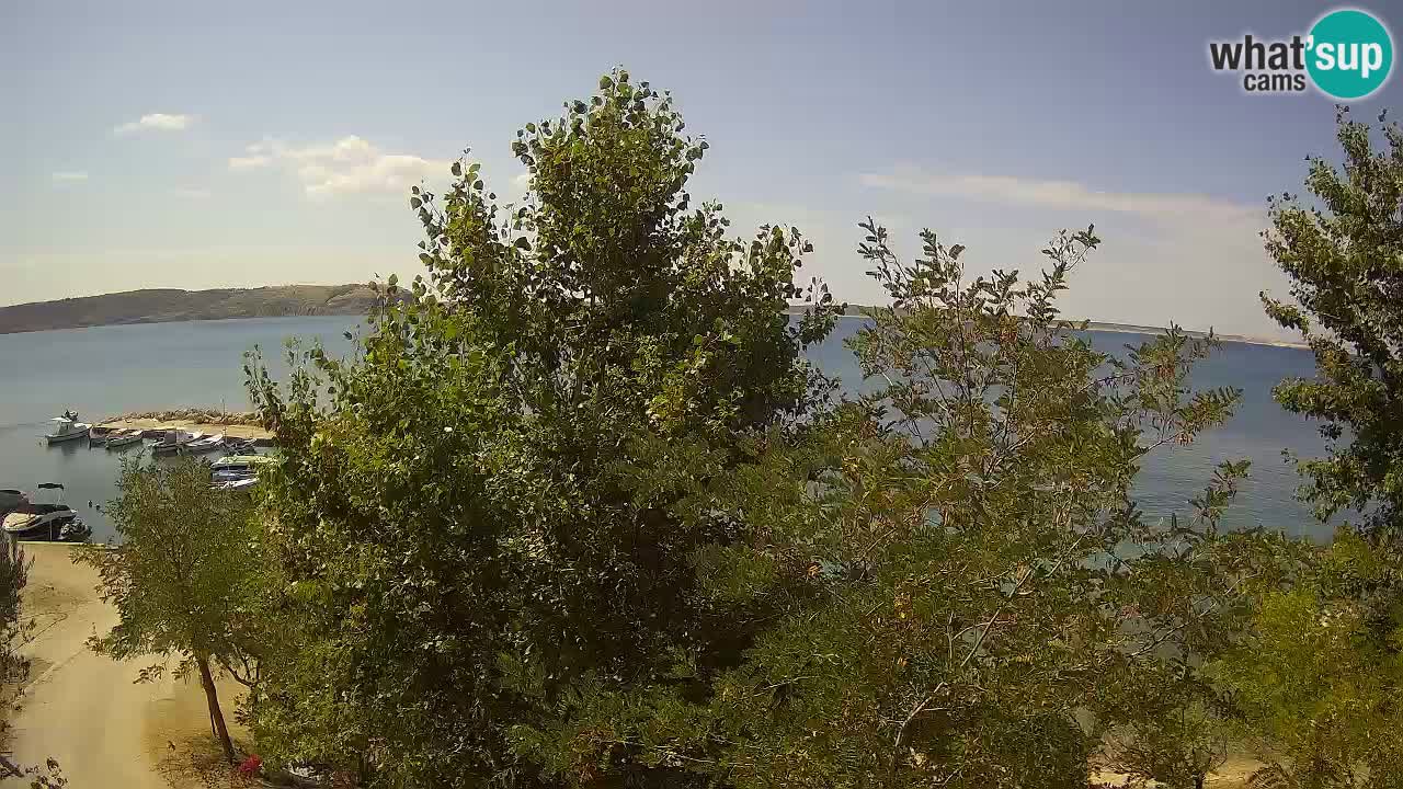 Camping Odmoree live cam Ražanac – Dalmatie