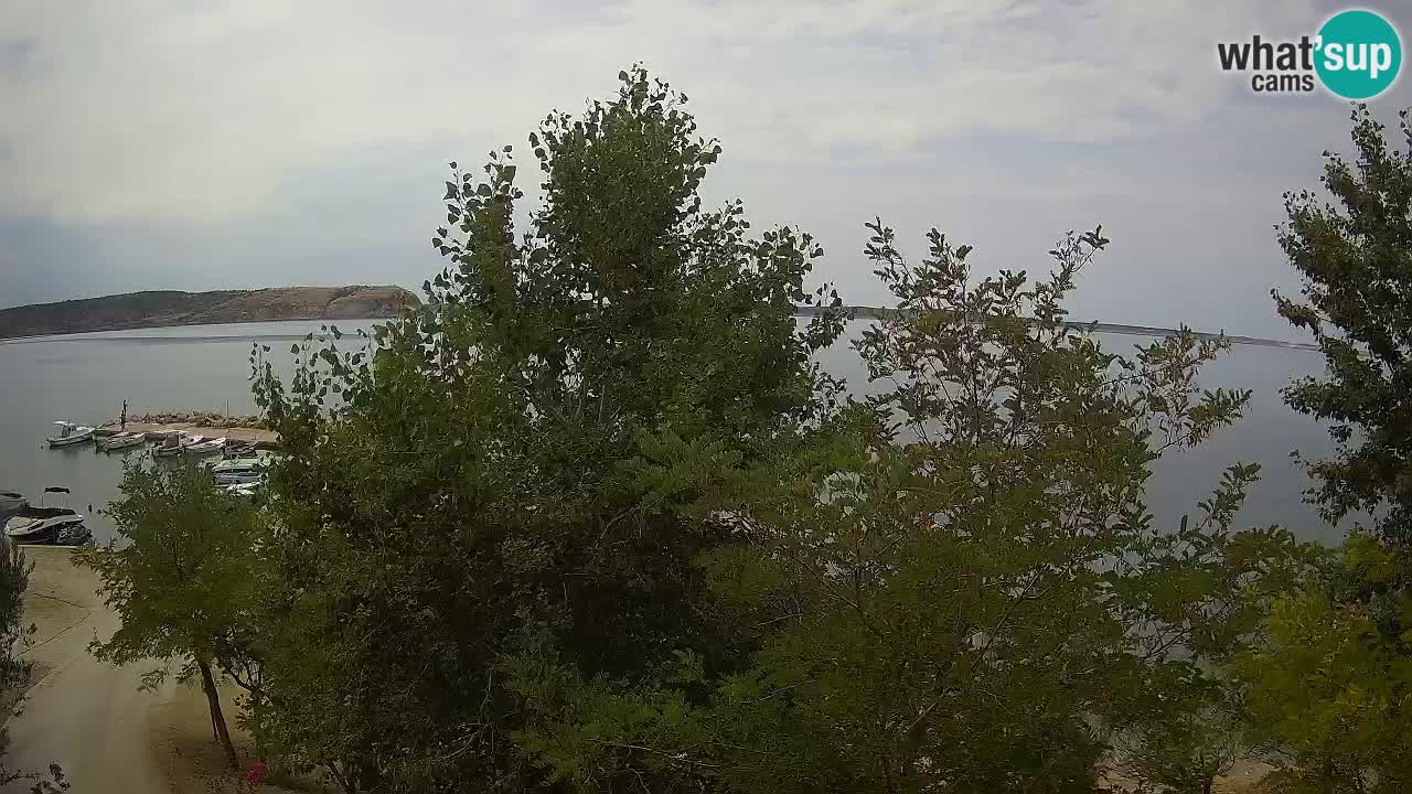 Camping Odmoree camera en vivo Ražanac – Dalmacia