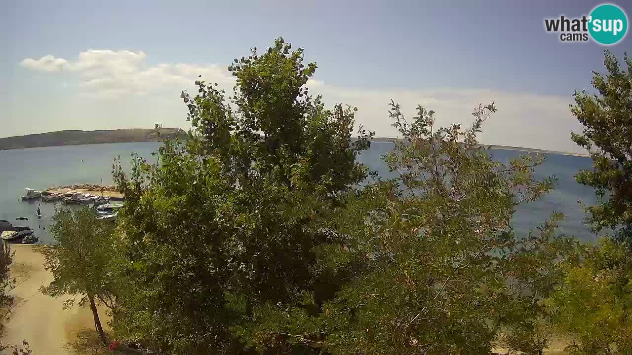 Camping Odmoree camera en vivo Ražanac – Dalmacia