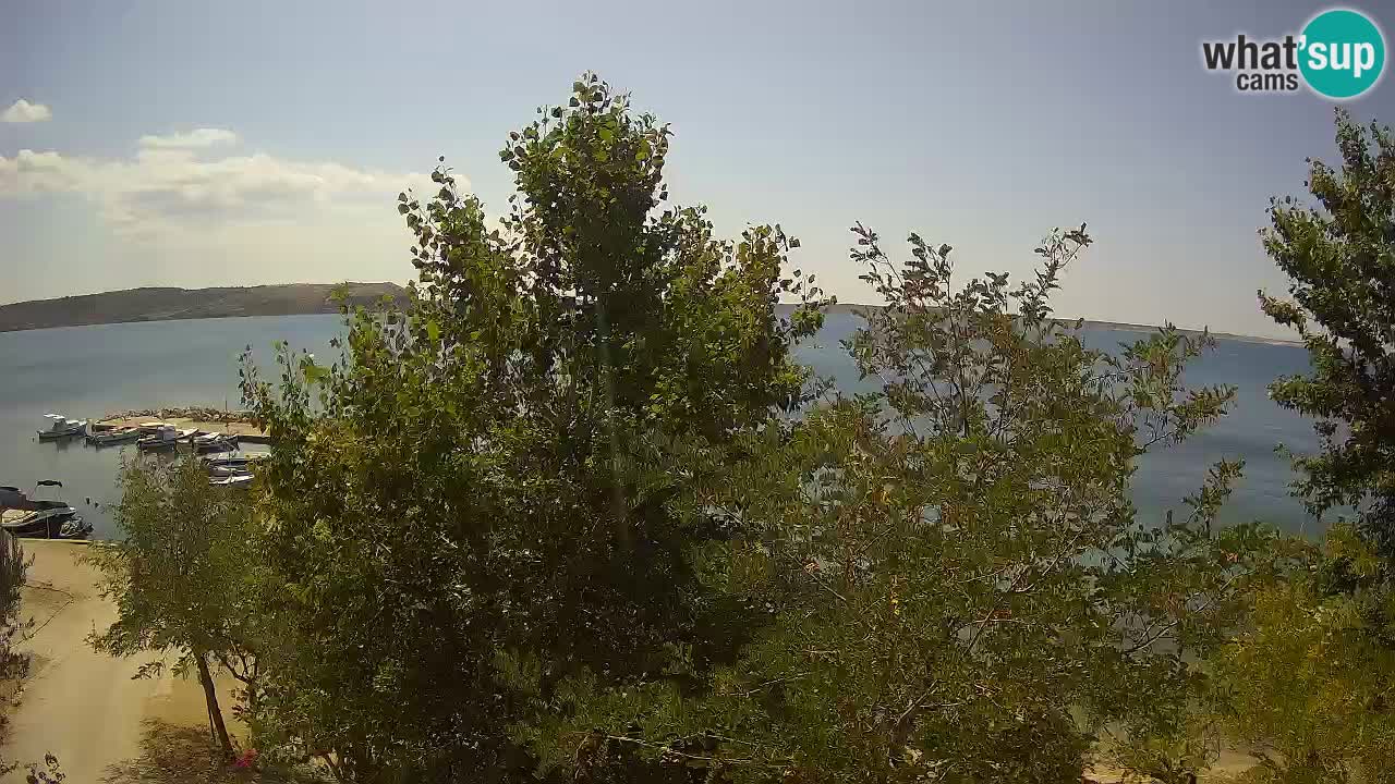 Kamp Odmoree spletna kamera Ražanac – Dalmacija