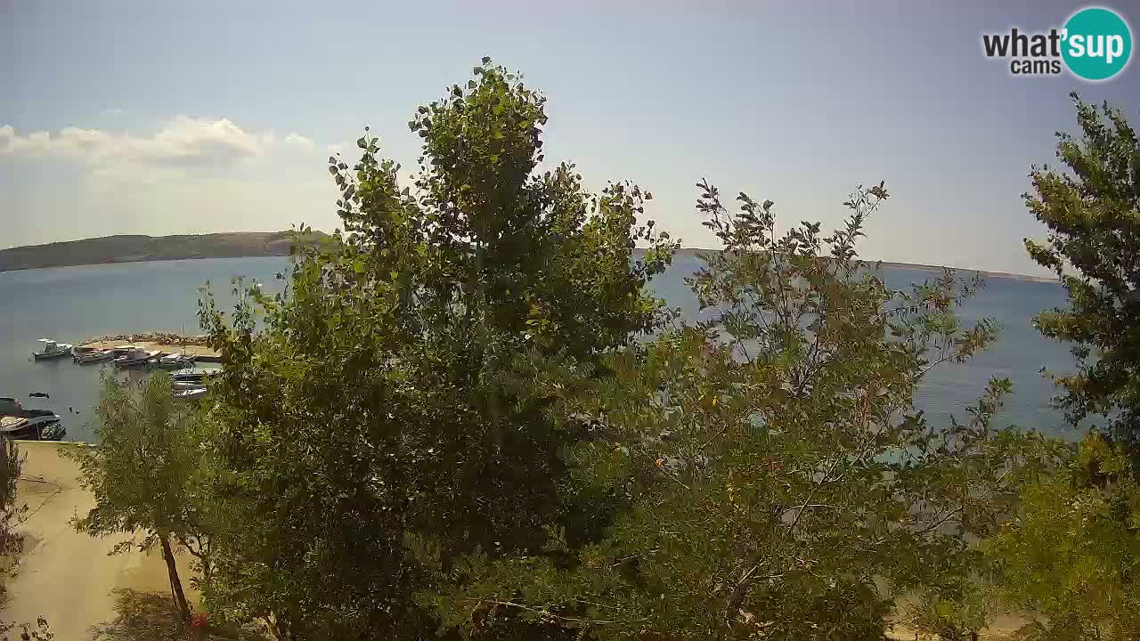 Camping Odmoree camera en vivo Ražanac – Dalmacia
