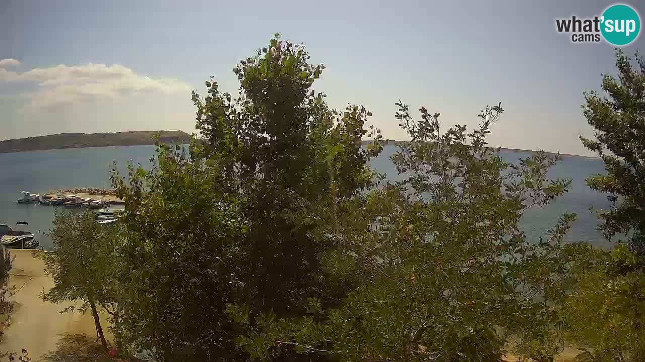 Camping Odmoree live cam Ražanac – Dalmatie