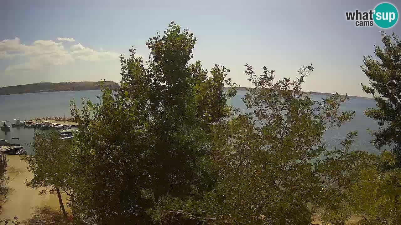 Camping Odmoree camera en vivo Ražanac – Dalmacia