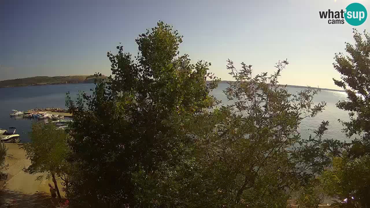 Kamp Odmoree spletna kamera Ražanac – Dalmacija