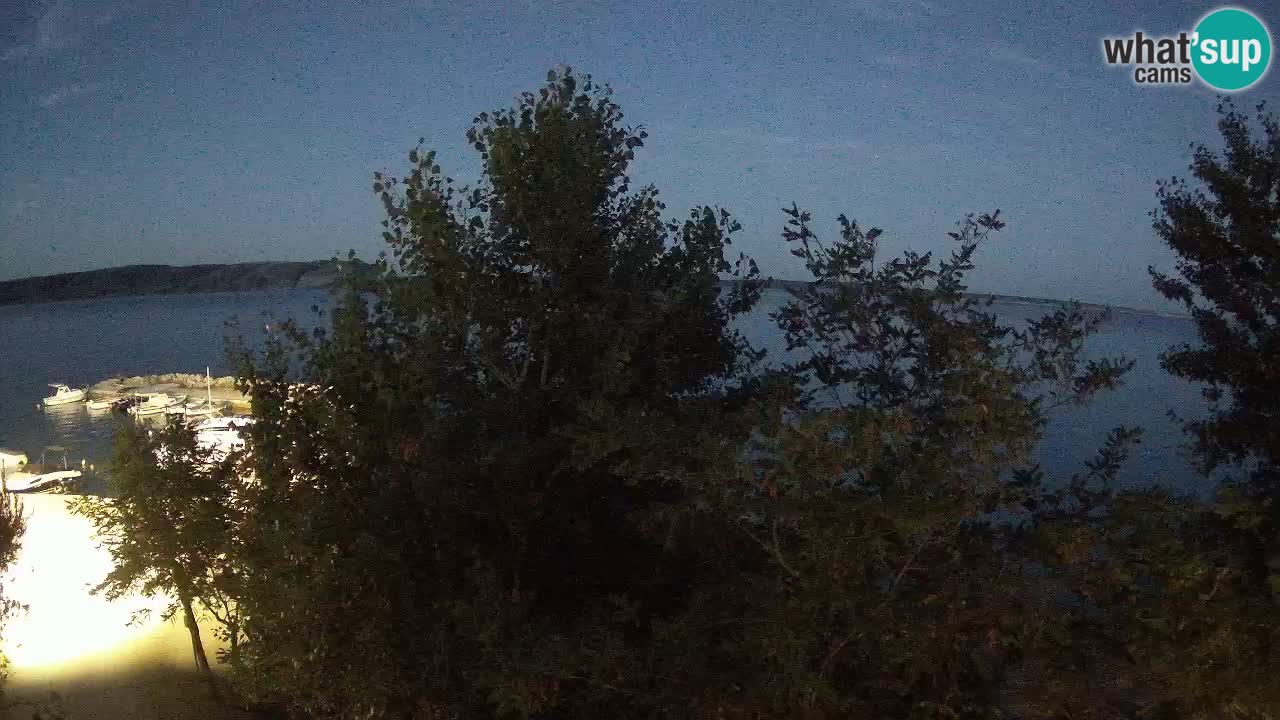 Kamp Odmoree spletna kamera Ražanac – Dalmacija