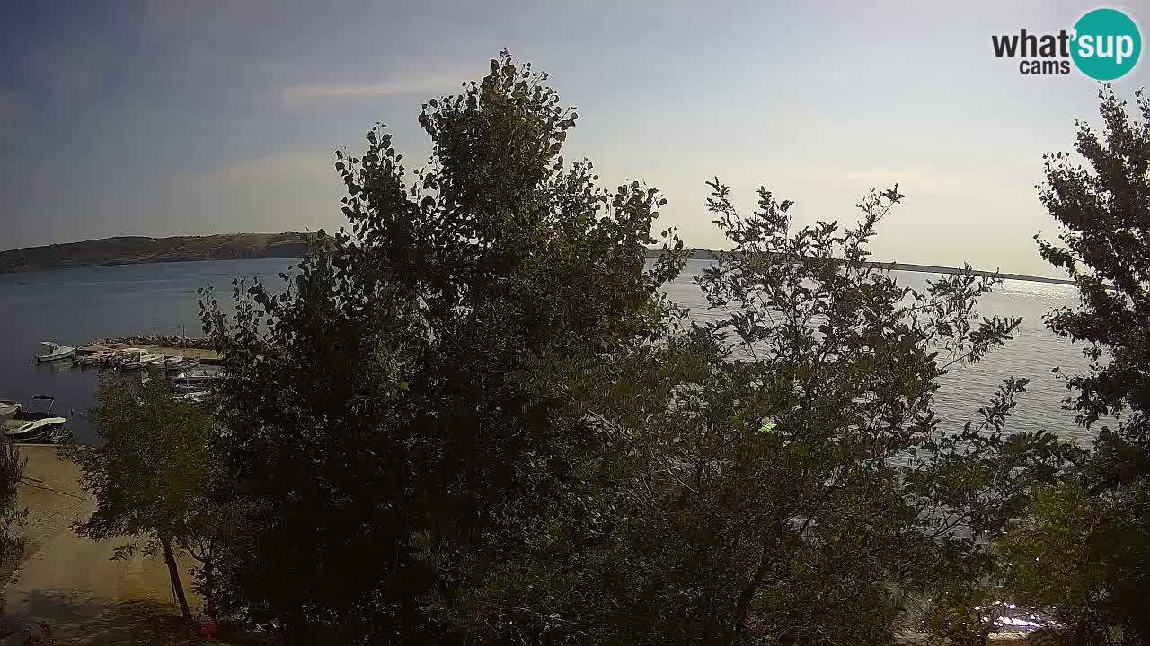 Kamp Odmoree spletna kamera Ražanac – Dalmacija