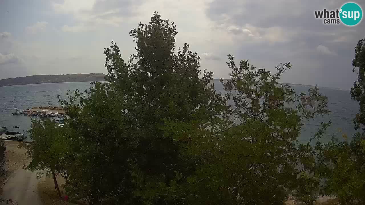 Kamp Odmoree spletna kamera Ražanac – Dalmacija