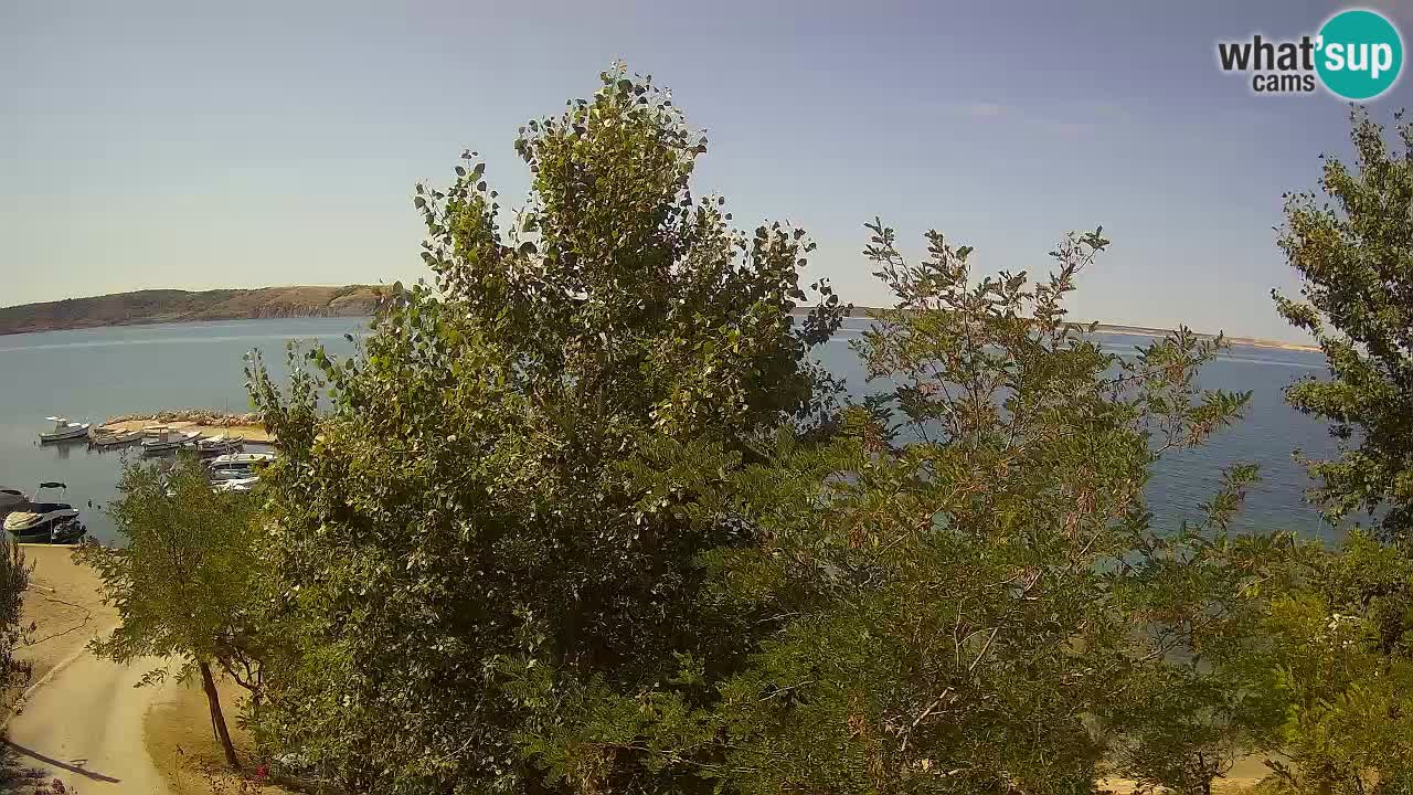 Camping Odmoree web kamera Ražanac – Dalmacija