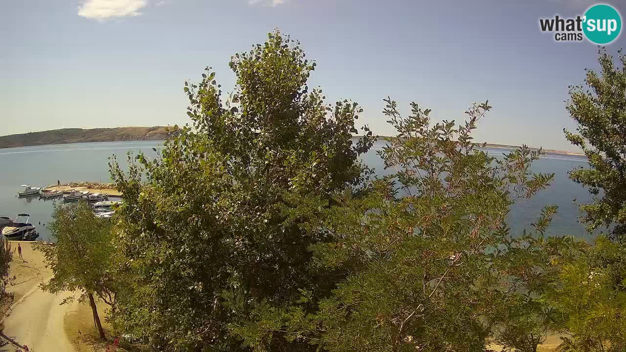 Camping Odmoree webcam Ražanac – Dalmazia
