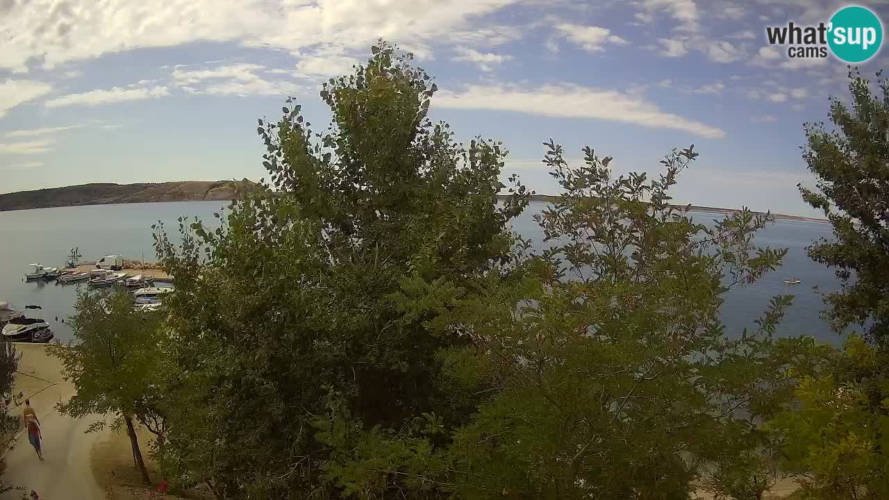 Camping Odmoree webcam Ražanac – Dalmatia