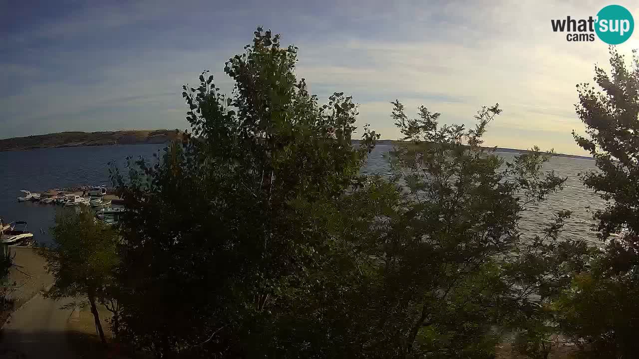 Kamp Odmoree spletna kamera Ražanac – Dalmacija