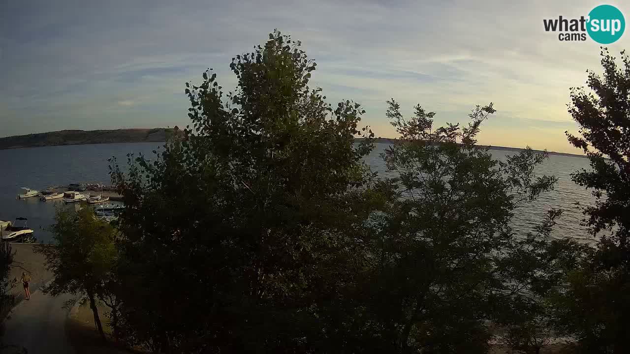 Kamp Odmoree spletna kamera Ražanac – Dalmacija