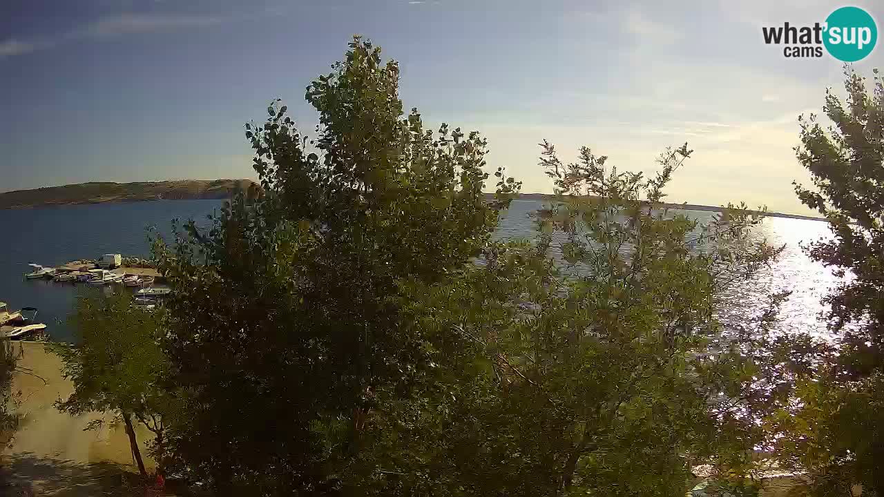 Camping Odmoree camera en vivo Ražanac – Dalmacia