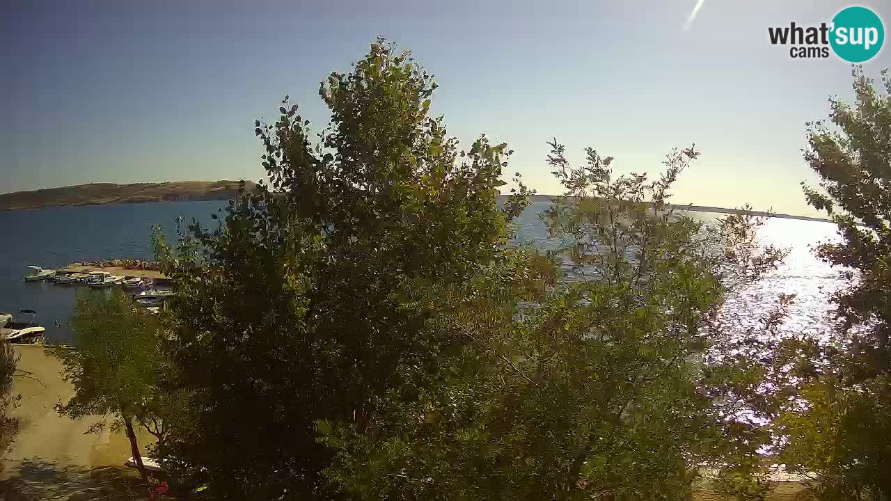 Camping Odmoree webcam Ražanac – Dalmazia