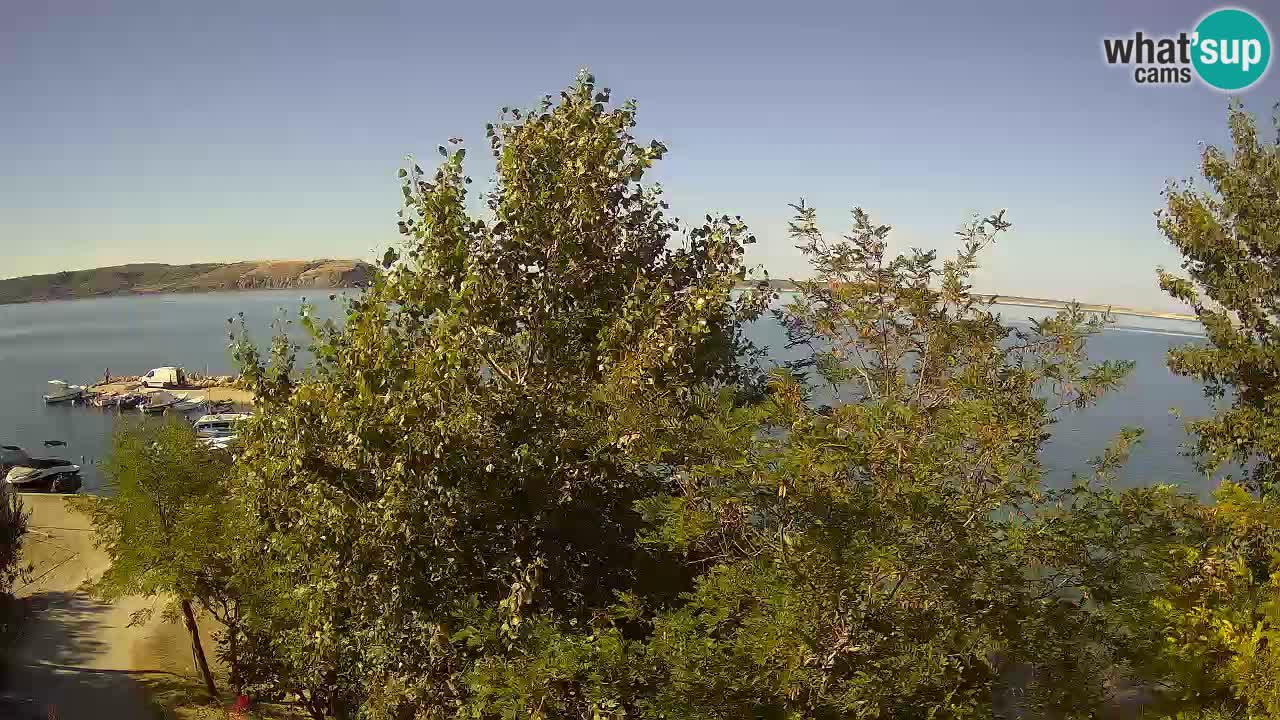 Camping Odmoree live cam Ražanac – Dalmatie