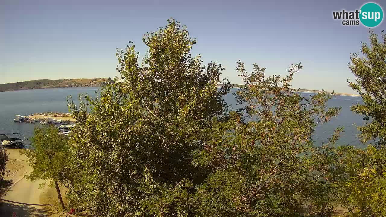 Camping Odmoree web kamera Ražanac – Dalmacija